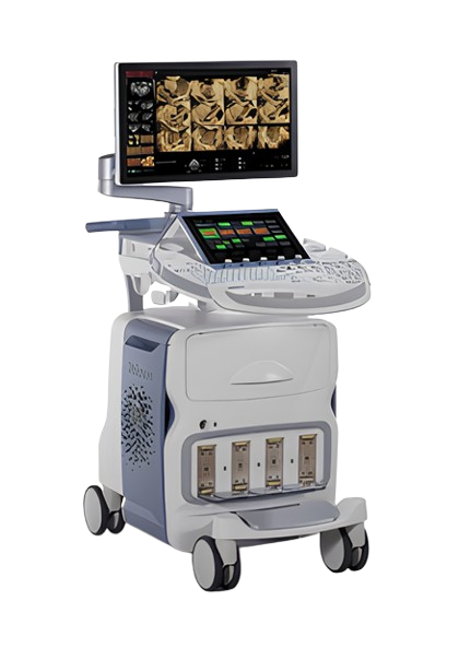 GE Voluson™ E10